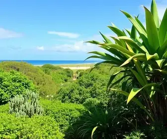 Melhor horário para passeio de jardineira em Jericoacoara: guia prático com dicas essenciais
